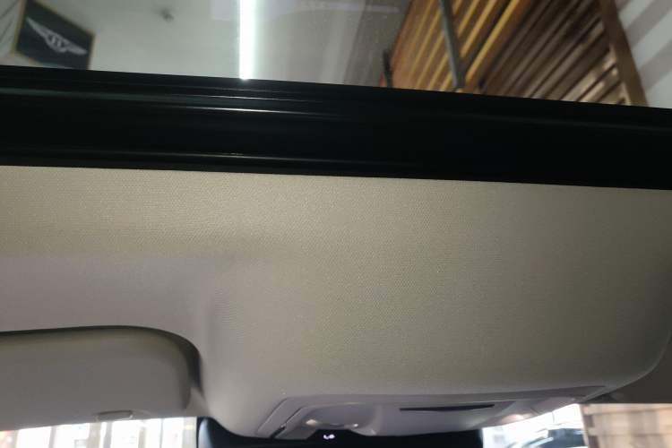 Used Tank 300 New Energy 2025 Hi4-T Headliner