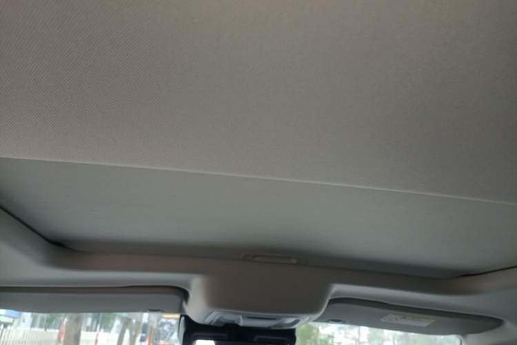 Used Tank 300 New Energy 2025 Hi4-T Headliner
