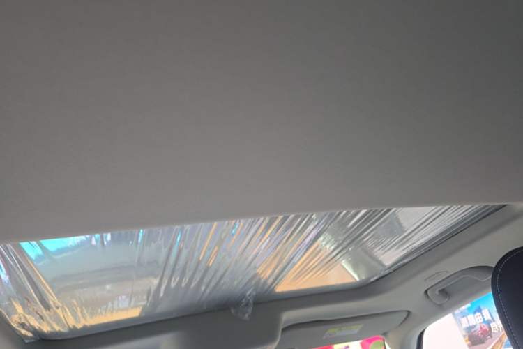 Used Tank 300 New Energy 2025 Hi4-T Headliner