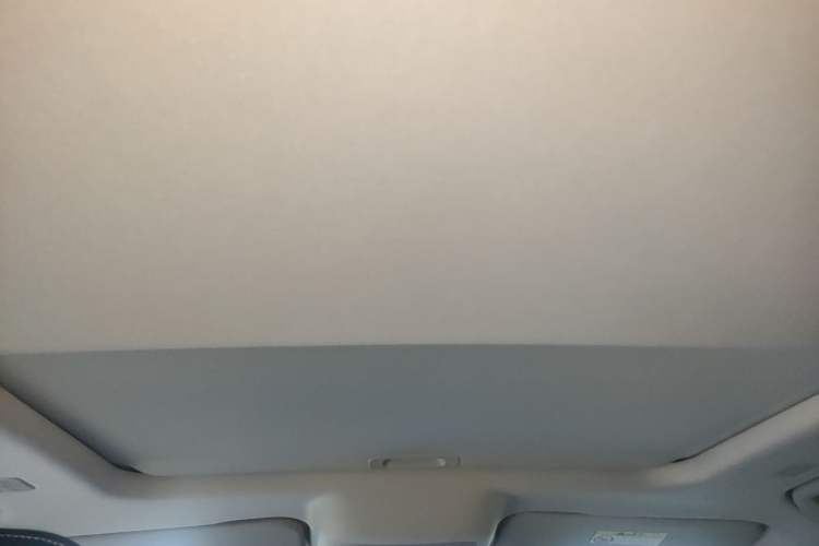 Used Tank 300 New Energy 2025 Hi4-T Headliner