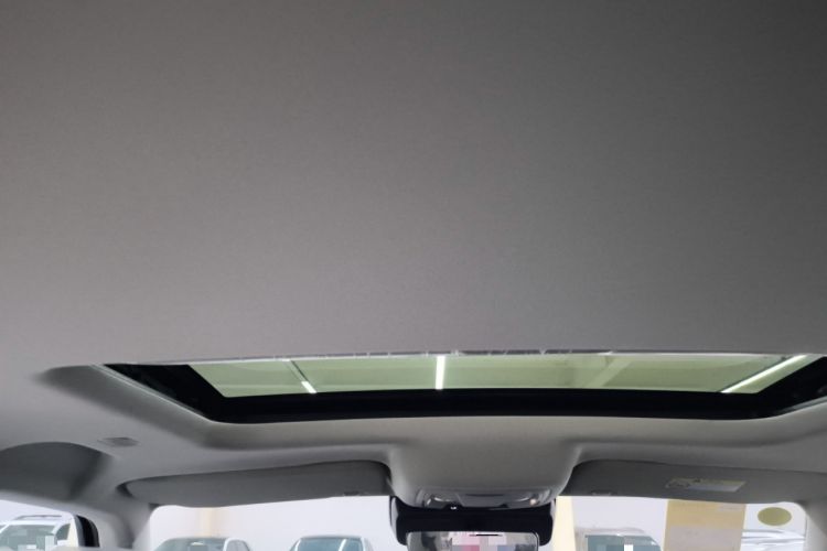 Used Tank 300 New Energy 2025 Hi4-T Headliner