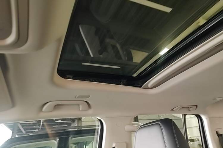 Used Tank 300 New Energy 2025 Hi4-T Headliner