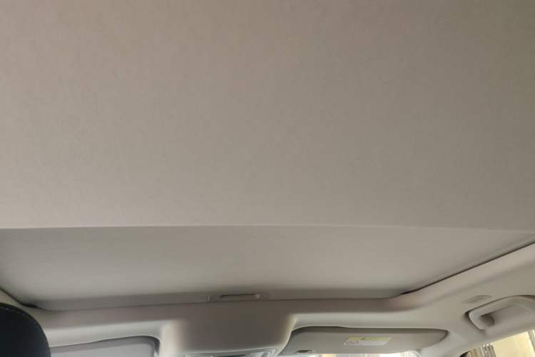 Used Tank 300 New Energy 2025 Hi4-T Headliner