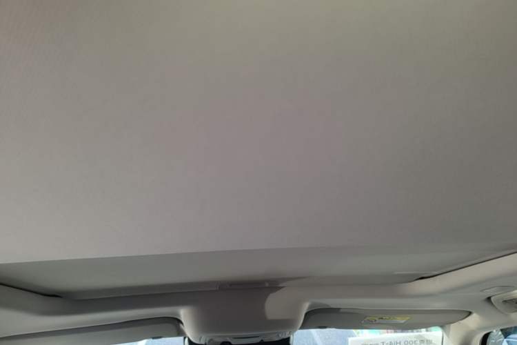 Used Tank 300 New Energy 2025 Hi4-T Headliner