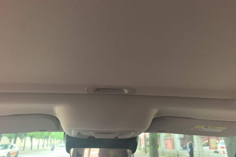 Used Tank 300 New Energy 2025 Hi4-T Headliner