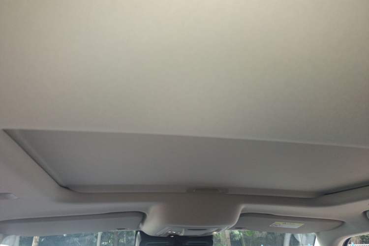 Used Tank 300 New Energy 2025 Hi4-T Headliner