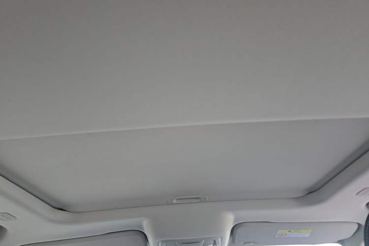 Used Tank 300 New Energy 2025 Hi4-T Headliner