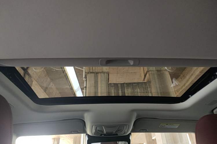 Used Tank 300 New Energy 2025 Hi4-T Headliner