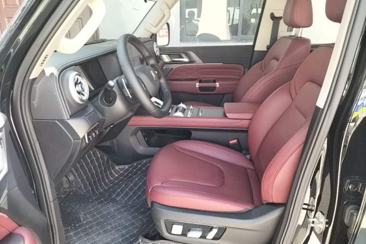 Used Tank 300 New Energy 2025 Hi4-T Left Front Seat