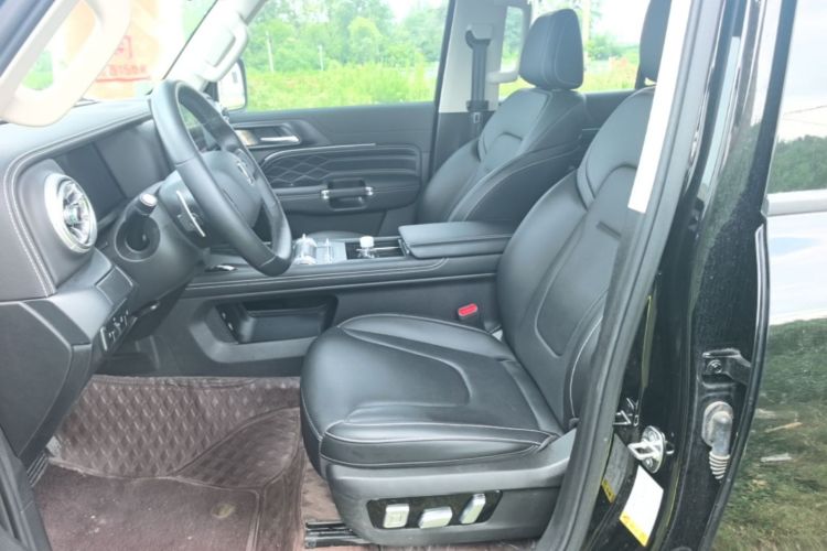 Used Tank 300 New Energy 2025 Hi4-T Left Front Seat