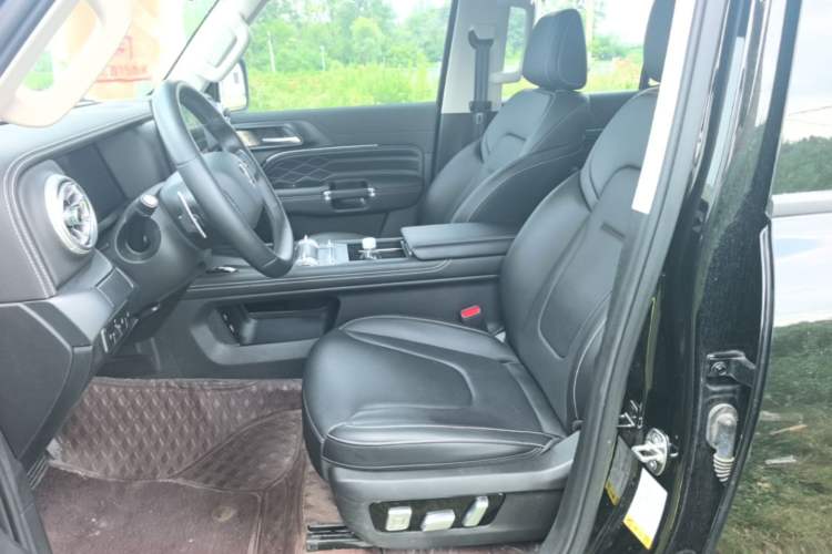 Used Tank 300 New Energy 2025 Hi4-T Left Front Seat