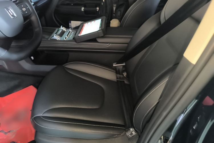 Used Tank 300 New Energy 2025 Hi4-T Left Front Seat