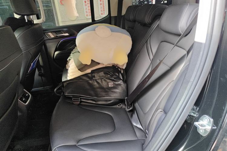 Used Tank 300 New Energy 2025 Hi4-T Left Rear Seat
