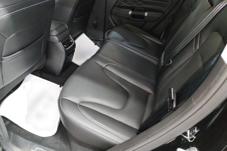Used Tank 300 New Energy 2025 Hi4-T Left Rear Seat