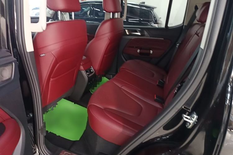 Used Tank 300 New Energy 2025 Model, Hi4-T 36.7kWh Left Rear Seat
