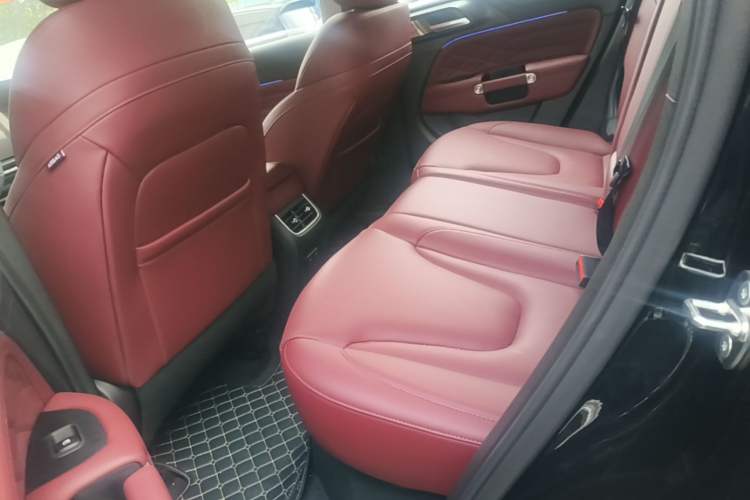Used Tank 300 New Energy 2025 Model, Hi4-T 36.7kWh Left Rear Seat