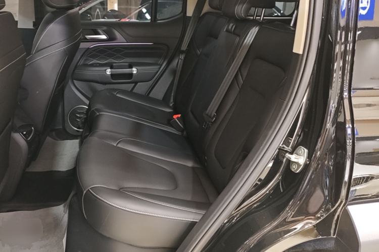 Used Tank 300 New Energy 2025 Hi4-T Left Rear Seat