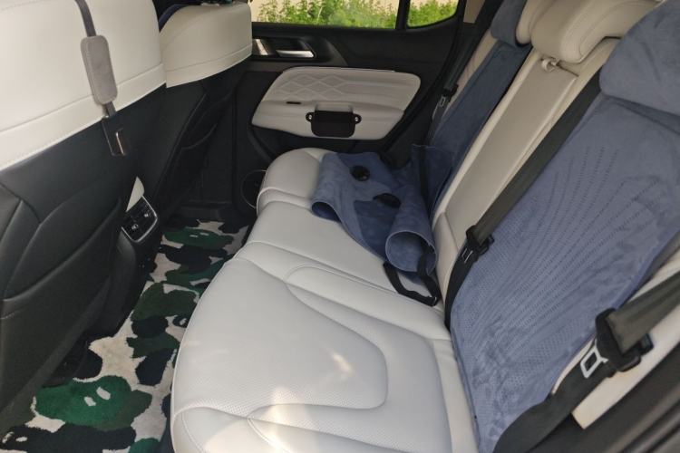 Used Tank 300 New Energy 2025 Hi4-T Left Rear Seat