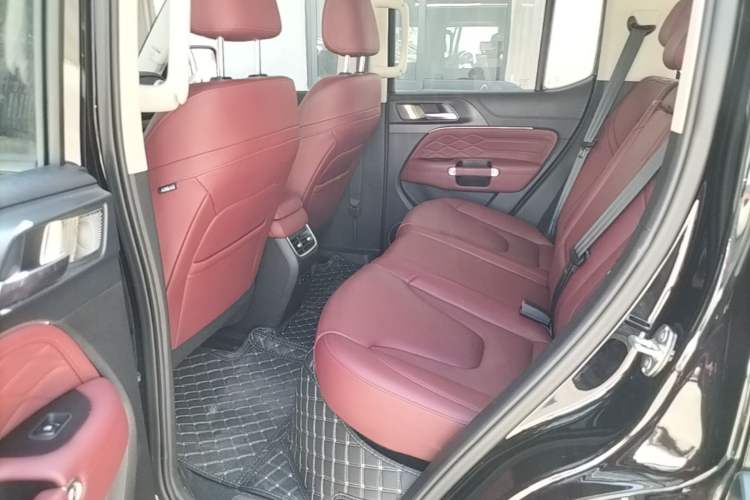 Used Tank 300 New Energy 2025 Hi4-T Left Rear Seat