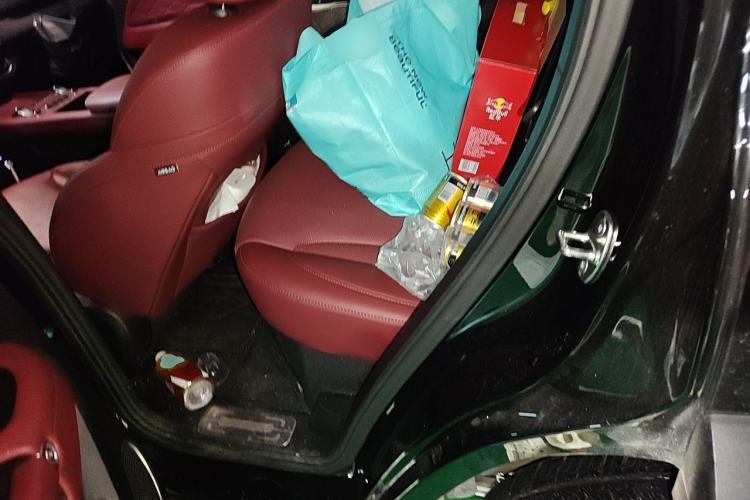 Used Tank 300 New Energy 2025 Hi4-T Left Rear Seat