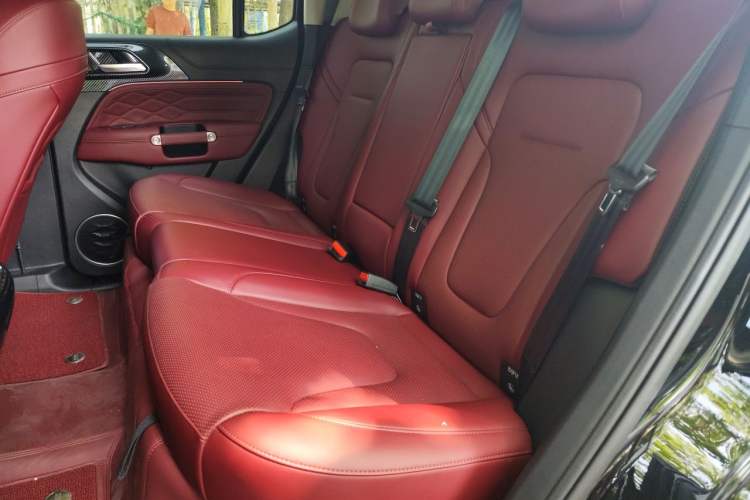 Used Tank 300 New Energy 2025 Hi4-T Left Rear Seat