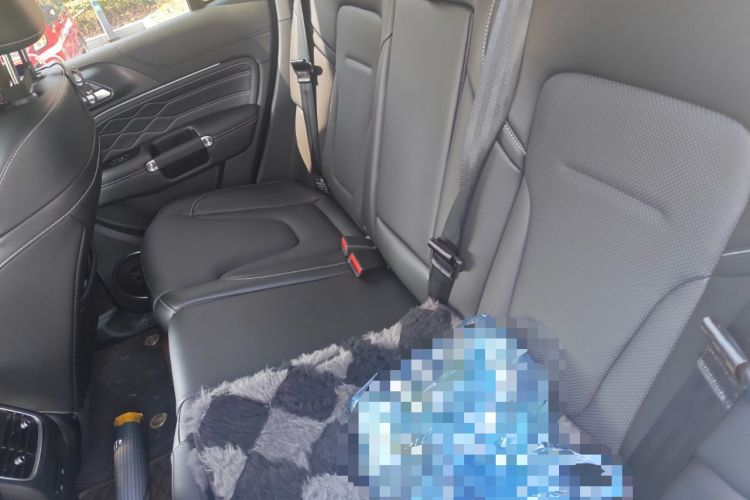 Used Tank 300 New Energy 2025 Hi4-T Left Rear Seat