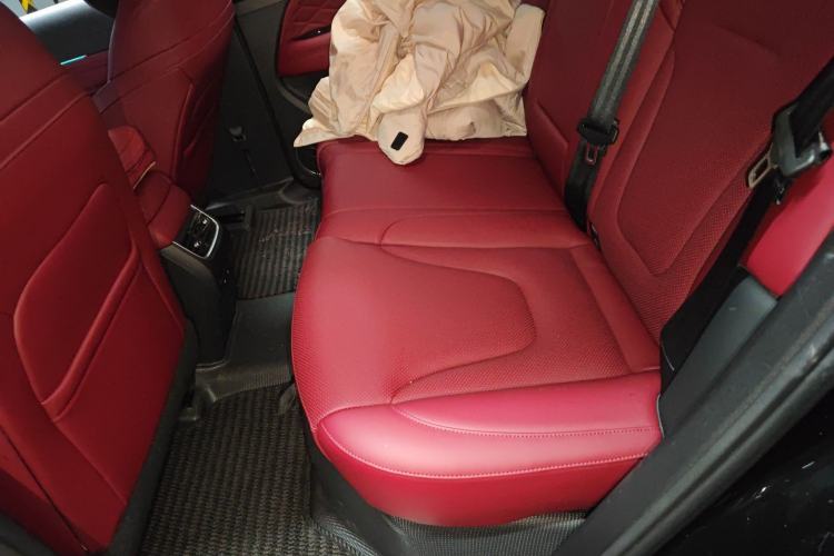 Used Tank 300 New Energy 2025 Model, Hi4-T 36.7kWh Left Rear Seat