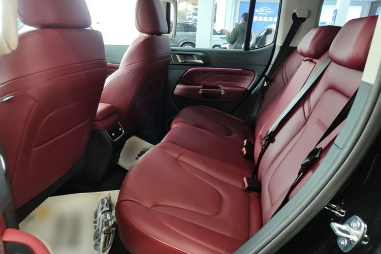 Used Tank 300 New Energy 2025 Hi4-T Left Rear Seat
