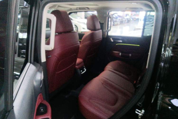 Used Tank 300 New Energy 2025 Hi4-T Left Rear Seat