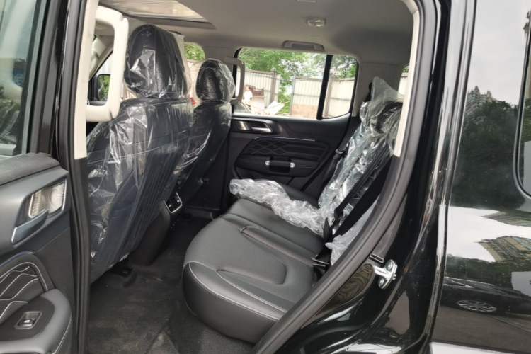 Used Tank 300 New Energy 2025 Model, Hi4-T 36.7kWh Left Rear Seat