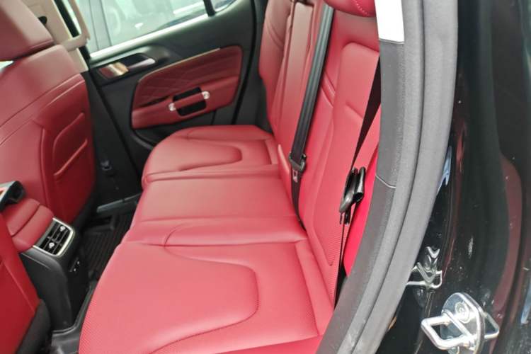 Used Tank 300 New Energy 2025 Model, Hi4-T 36.7kWh Left Rear Seat