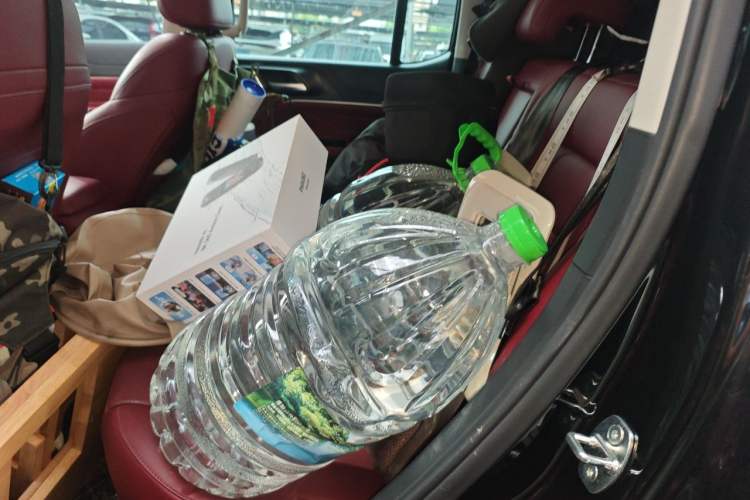 Used Tank 300 New Energy 2025 Hi4-T Left Rear Seat