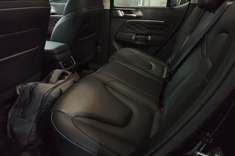 Used Tank 300 New Energy 2025 Hi4-T Left Rear Seat