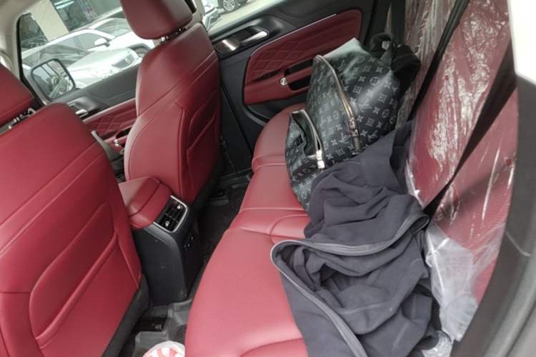 Used Tank 300 New Energy 2025 Model, Hi4-T 36.7kWh Left Rear Seat