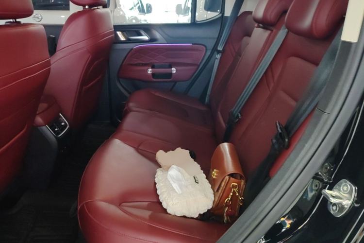 Used Tank 300 New Energy 2025 Hi4-T Left Rear Seat