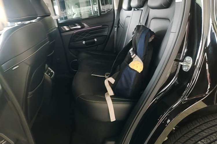 Used Tank 300 New Energy 2025 Hi4-T Left Rear Seat