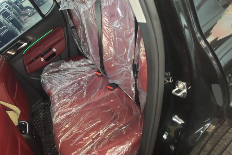 Used Tank 300 New Energy 2025 Hi4-T Left Rear Seat