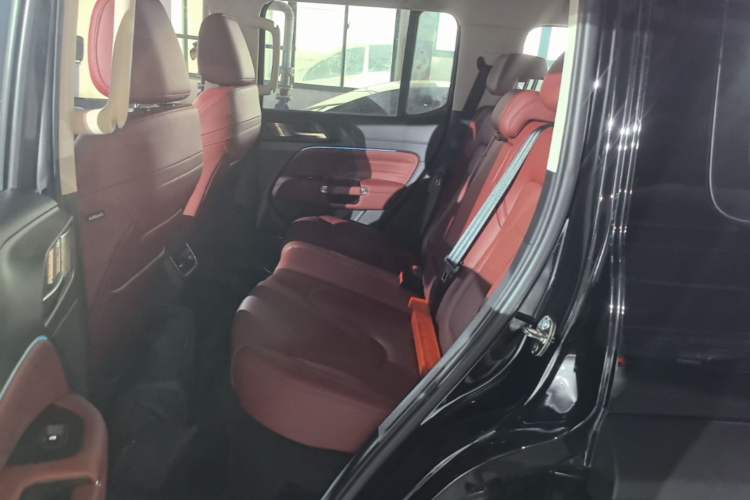 Used Tank 300 New Energy 2025 Model, Hi4-T 36.7kWh Left Rear Seat