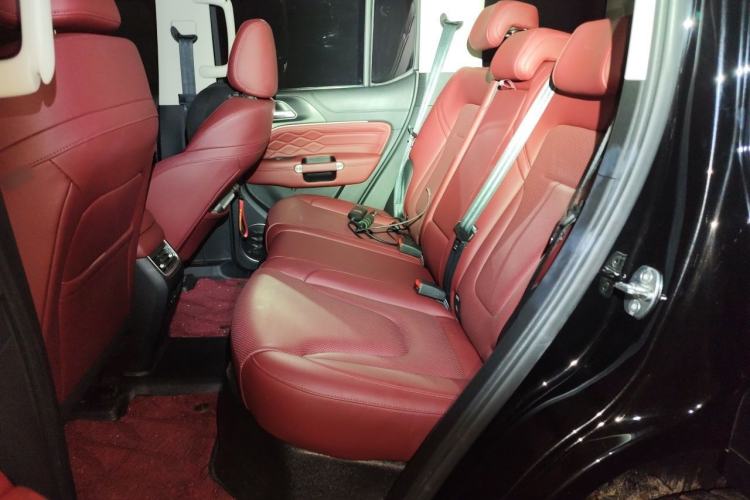 Used Tank 300 New Energy 2025 Hi4-T Left Rear Seat