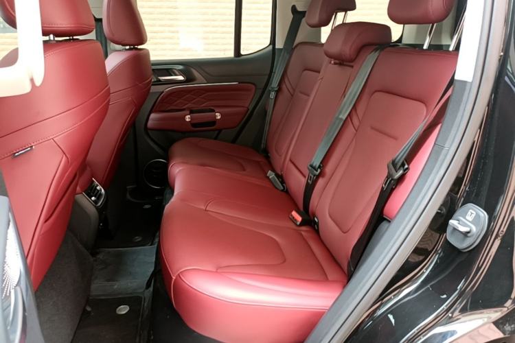 Used Tank 300 New Energy 2025 Model, Hi4-T 36.7kWh Left Rear Seat