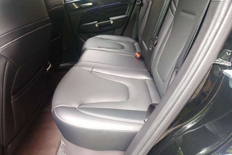 Used Tank 300 New Energy 2025 Hi4-T Left Rear Seat