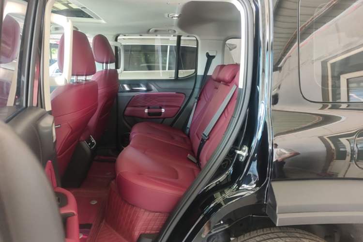 Used Tank 300 New Energy 2025 Model, Hi4-T 36.7kWh Left Rear Seat