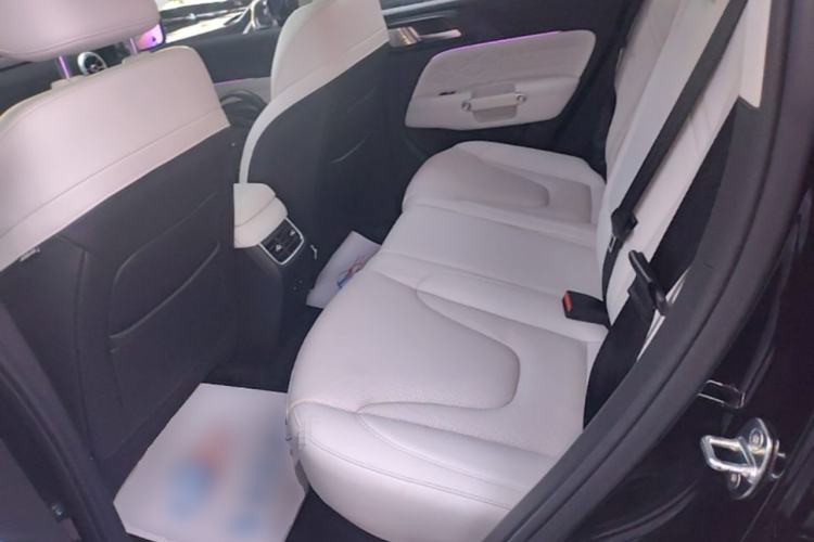 Used Tank 300 New Energy 2025 Hi4-T Left Rear Seat