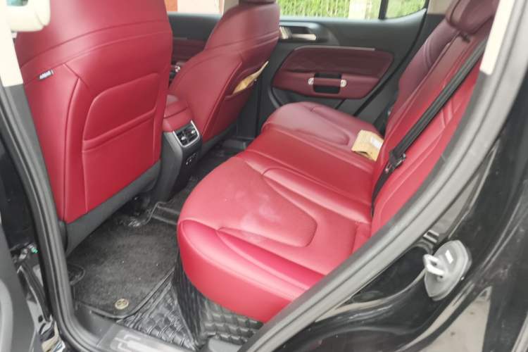 Used Tank 300 New Energy 2025 Model, Hi4-T 36.7kWh Left Rear Seat
