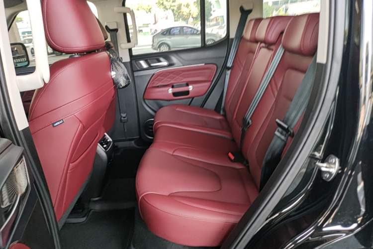 Used Tank 300 New Energy 2025 Hi4-T Left Rear Seat