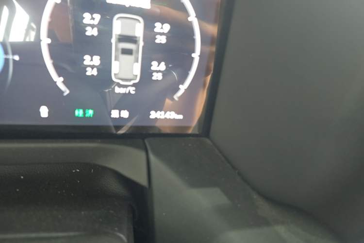 Used Tank 300 New Energy 2025 Hi4-T Odometer Close Up