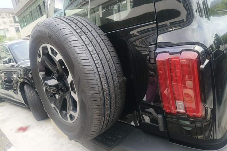 Used Tank 300 New Energy 2025 Model, Hi4-T 36.7kWh Rear