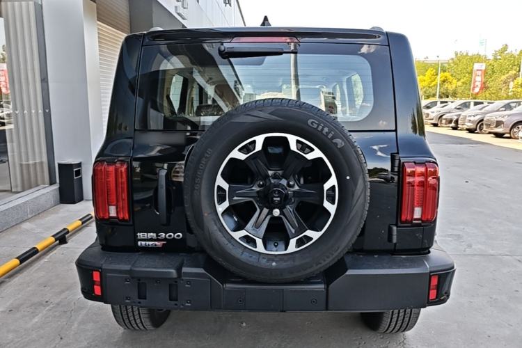 Used Tank 300 New Energy 2025 Model, Hi4-T 36.7kWh Rear
