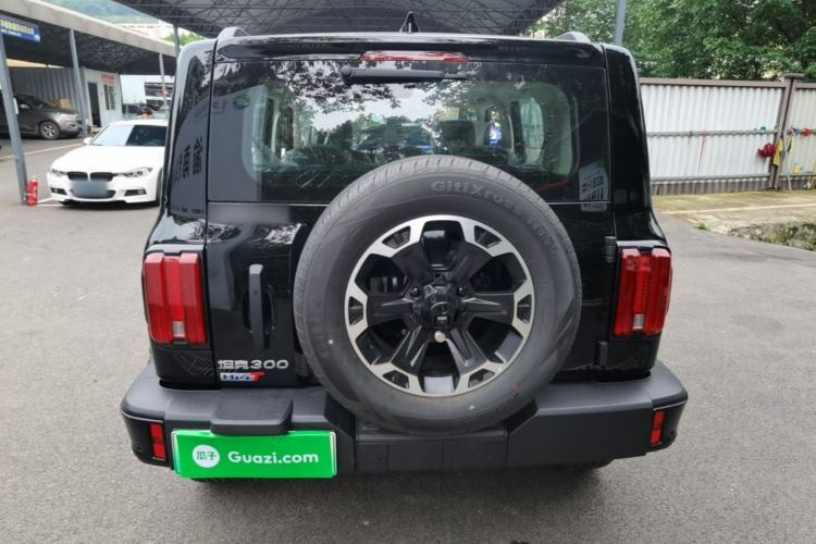Used Tank 300 New Energy 2025 Model, Hi4-T 36.7kWh Rear