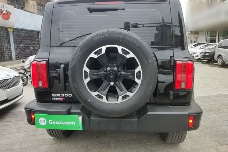 Used Tank 300 New Energy 2025 Model, Hi4-T 36.7kWh Rear